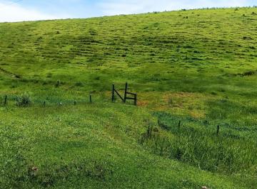 Imagem 1 · Fazenda