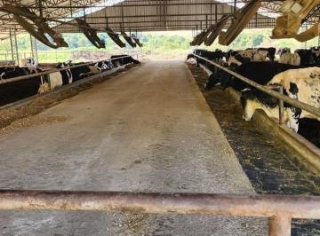 Imagem 1 · Fazenda