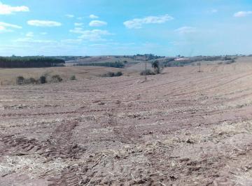 Imagem 1 · Fazenda