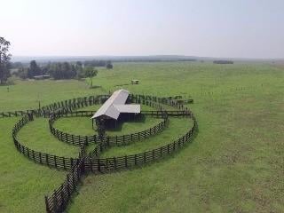 Imagem 1 · Fazenda