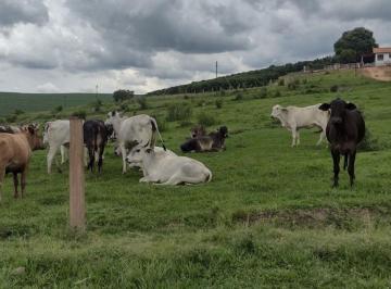 Imagem 1 · Fazenda
