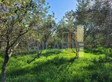Imagem 1 · Fazenda