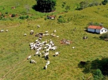 Imagem 1 · Fazenda