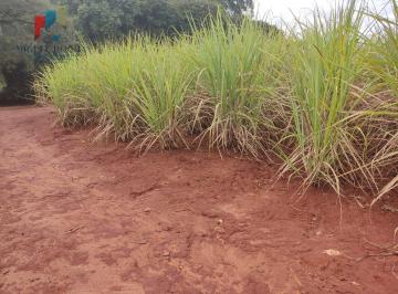 Imagem 1 · Fazenda