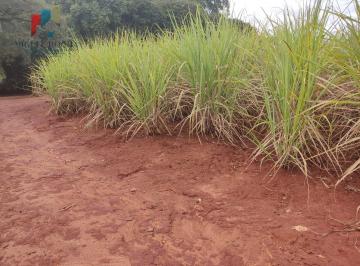 Imagem 1 · Fazenda para venda em Centro, Tatuí