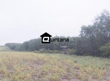 Imagem 1 · Fazenda