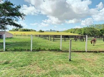 Imagem 1 · Haras e Área Rural Padrão