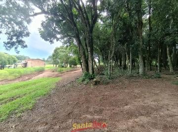 Imagem 1 · Sítio para venda em Centro, Rio Pardo