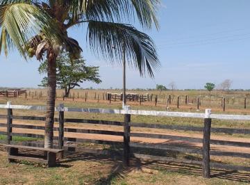 Imagem 1 · Fazenda