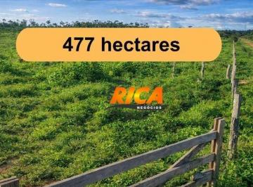 Imagem 1 · Fazenda
