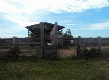 Imagem 1 · Fazenda