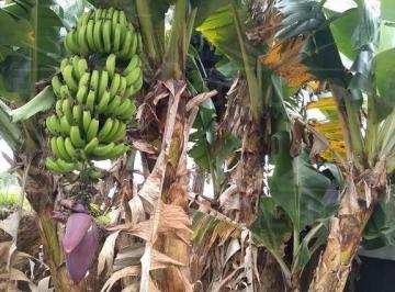 Imagem 1 · Chácara para venda em Centro, Ibiúna