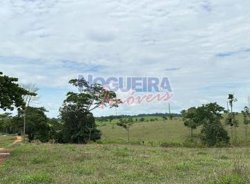Imagem 1 · Fazenda para venda em Ji-Paraná