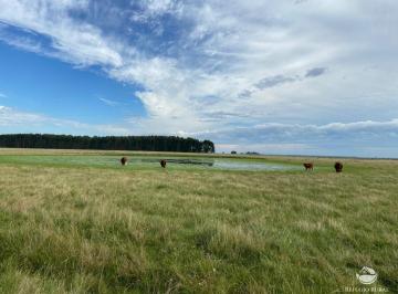 Imagem 1 · Fazenda