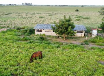 Imagem 1 · Fazenda