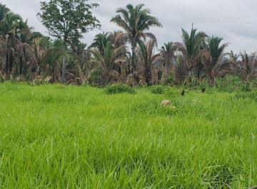 Imagem 1 · Fazenda