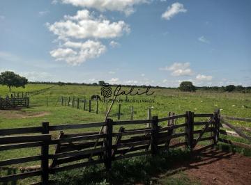 Imagem 1 · Fazenda