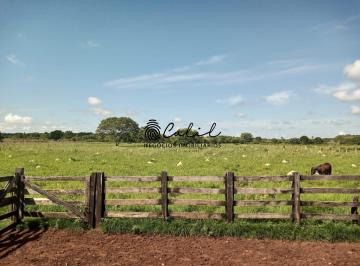 Imagem 1 · Fazenda
