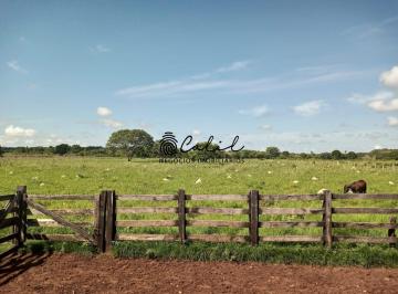 Imagem 1 · Fazenda para venda em Centro, Miracema do Tocantins