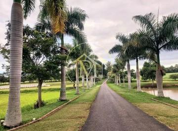 Imagem 1 · Fazenda