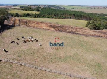 Imagem 1 · Haras e Área Rural Padrão