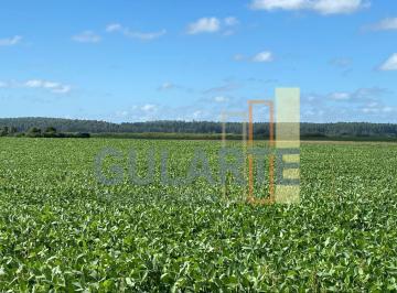 Imagem 1 · Fazenda