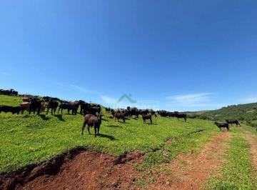 Imagem 1 · Fazenda