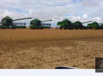 Imagem 1 · Fazenda
