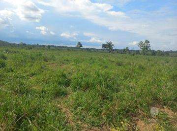 Imagem 1 · Fazenda