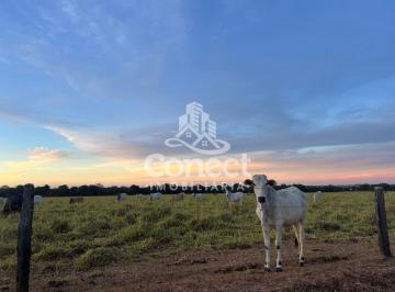 Imagem 1 · Fazenda para venda em Luís Eduardo Magalhães