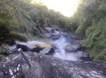 Imagem 1 · Fazenda
