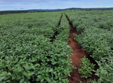 Imagem 1 · Fazenda