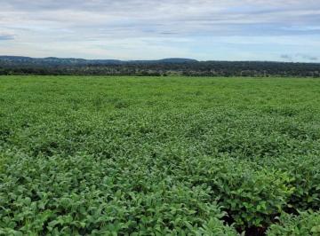 Imagem 1 · Fazenda para venda em Centro, Prata