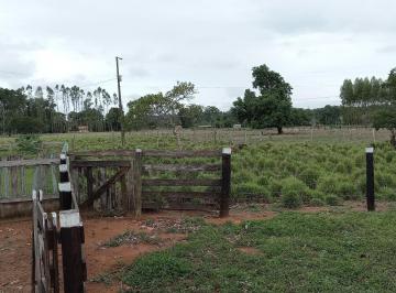 Imagem 1 · Fazenda