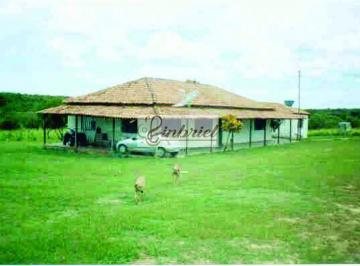Imagem 1 · Fazenda