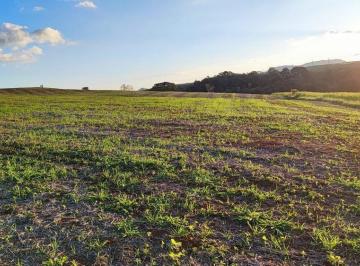 Imagem 1 · Fazenda