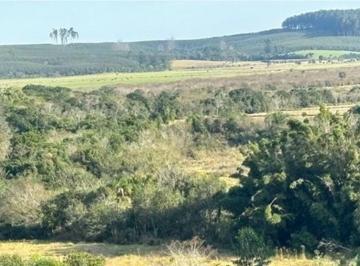 Imagem 1 · Fazenda