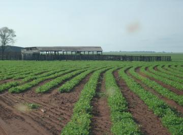 Imagem 1 · Fazenda
