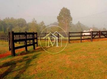 Imagem 1 · Fazenda