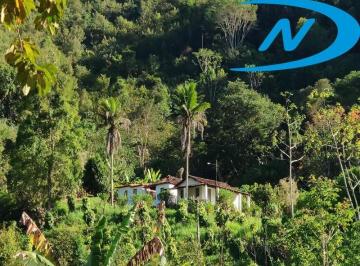 Imagem 1 · Fazenda