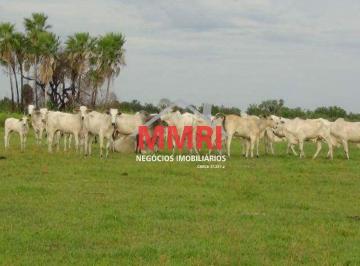 Imagem 1 · Fazenda