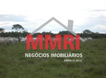 Imagem 1 · Fazenda