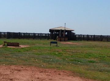Imagem 1 · Fazenda