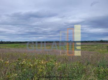 Imagem 1 · Fazenda