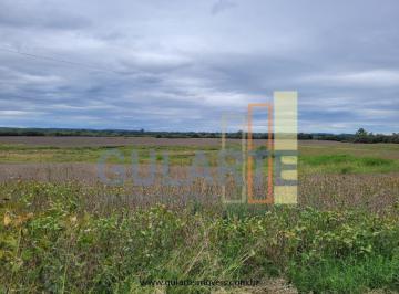 Imagem 1 · Fazenda para venda em Centro, Rio Pardo