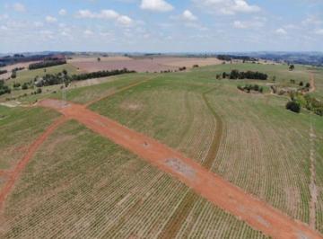 Imagem 1 · Fazenda