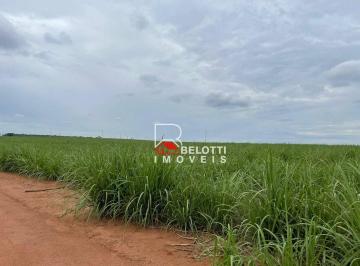 Imagem 1 · Fazenda