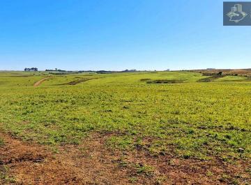 Imagem 1 · Fazenda