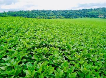 Imagem 1 · Fazenda