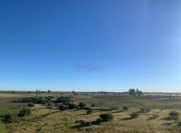 Imagem 1 · Fazenda